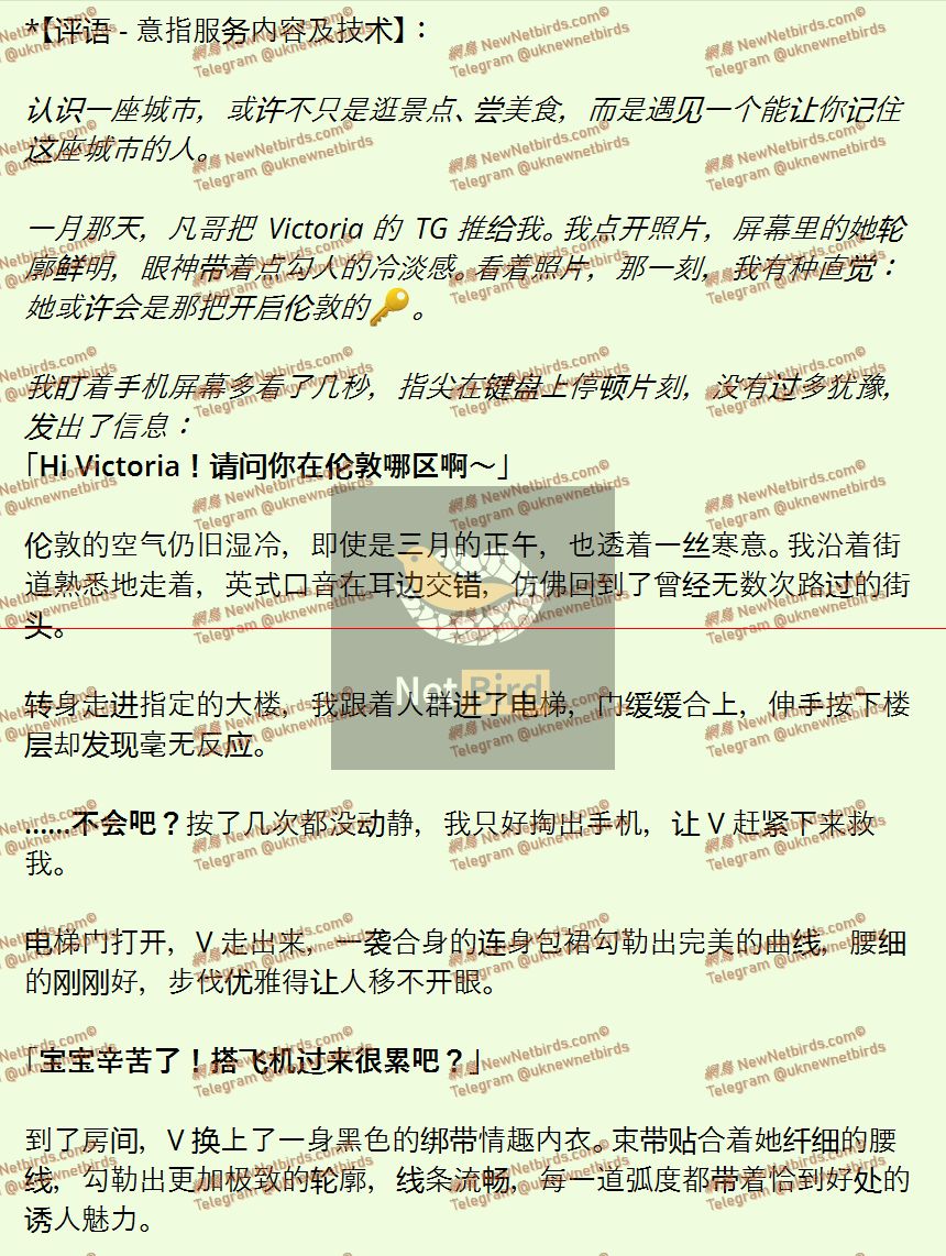 戰號 841 2.jpeg